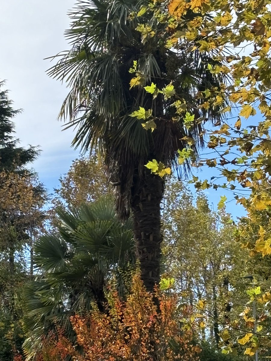 OrtFrancesca's tweet photo. @melindahaunton After a week of rain, today has been a nice autumn Saturday and my glass of ruby wine’s fitting it. #ConfinedCocktails. Cheers. https://t.co/R0g6w8qPfp