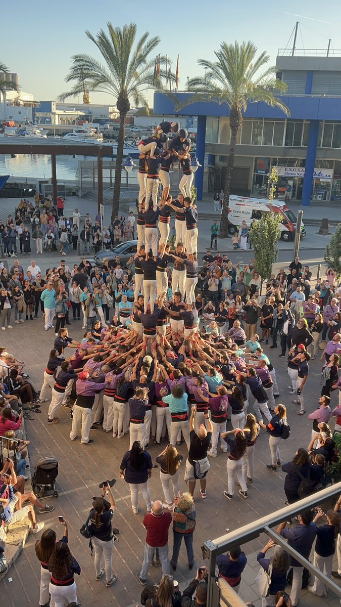 Ms Roche tweet media