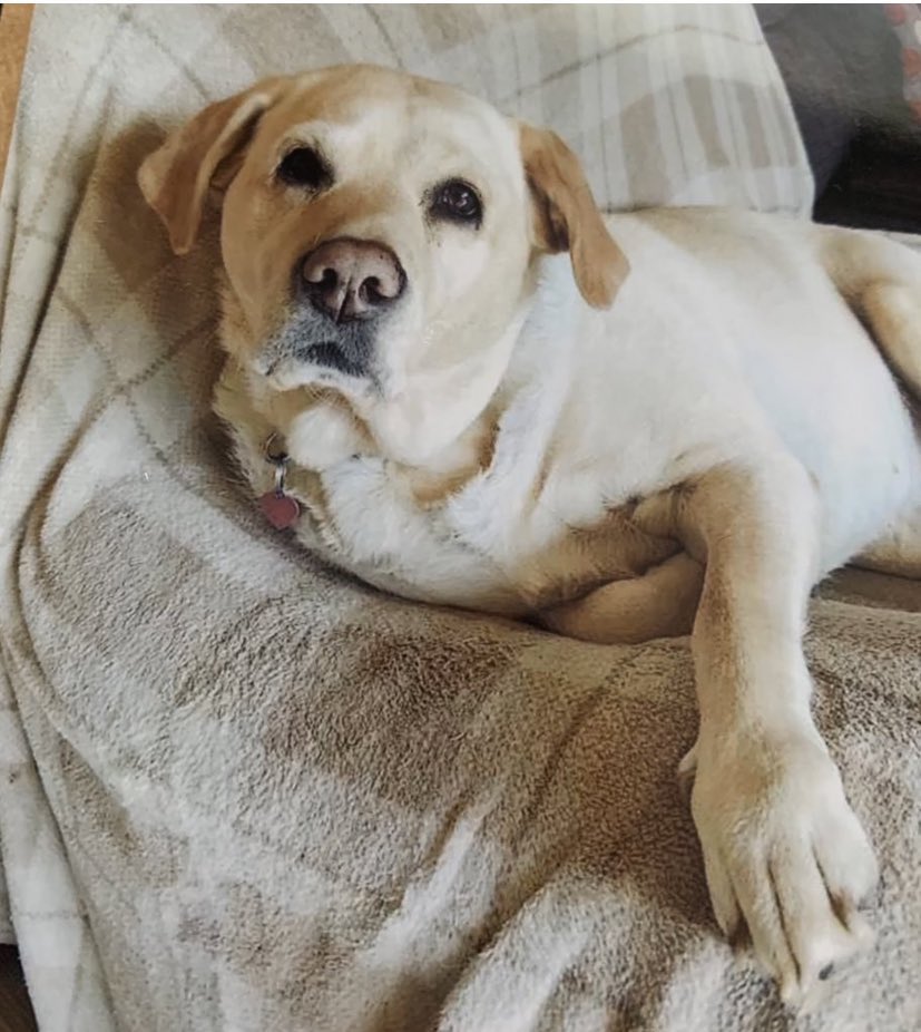 Sir Johnny OBE tweet media