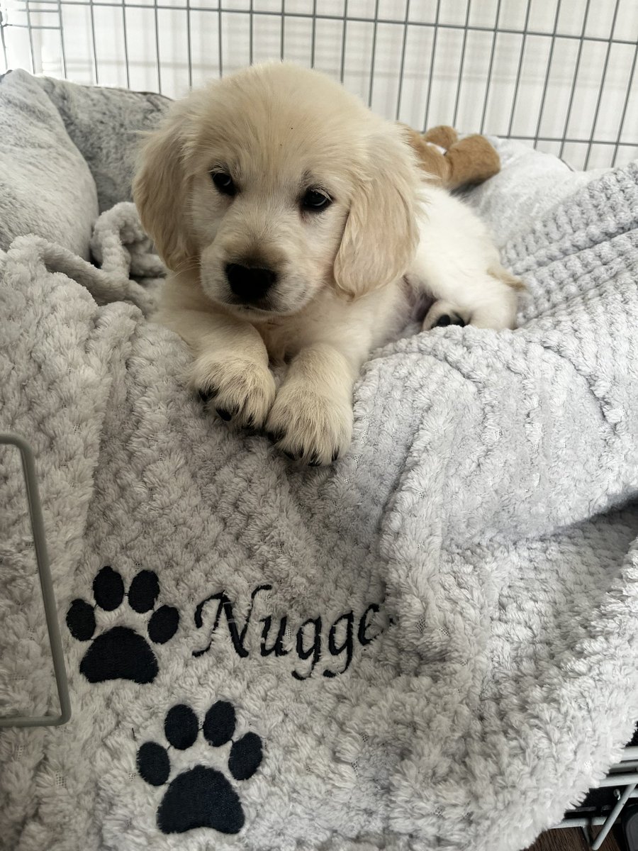 aejefferies's tweet image. 🫶🏻🫶🏻🫶🏻🫶🏻🫶🏻