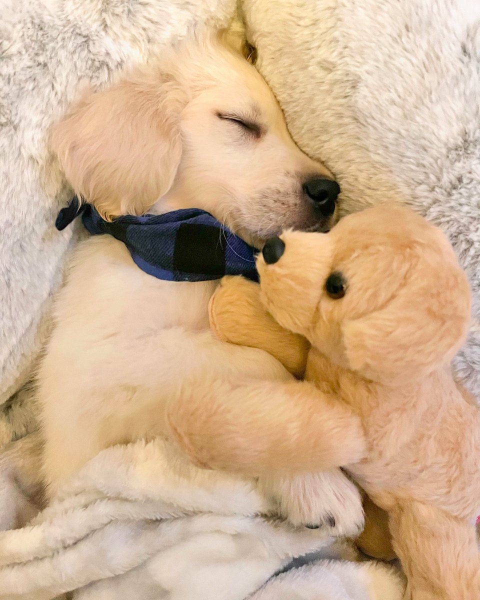 aejefferies's tweet image. 🫶🏻🫶🏻🫶🏻🫶🏻🫶🏻