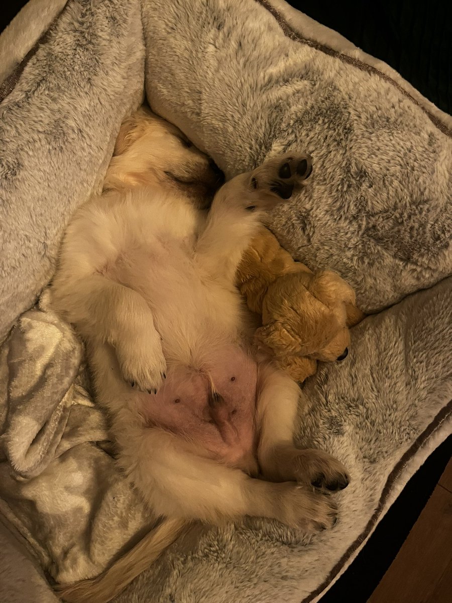 aejefferies's tweet image. 🫶🏻🫶🏻🫶🏻🫶🏻🫶🏻