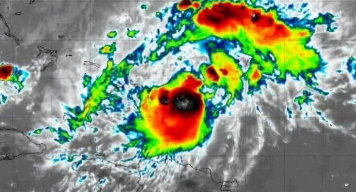 UHN Plus tweet media