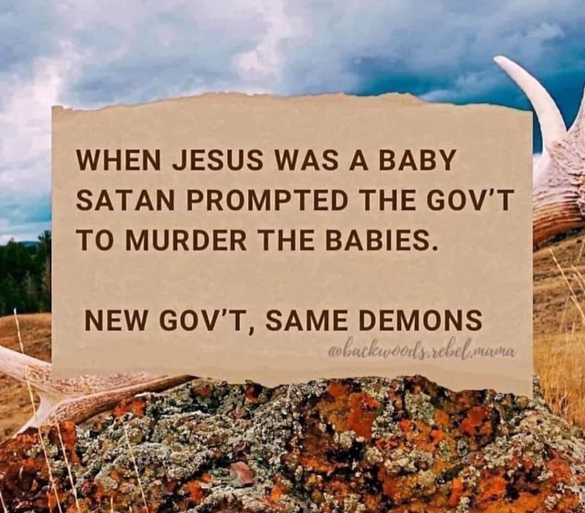 Latter-Day Karen (@discoverroots) on Twitter photo 