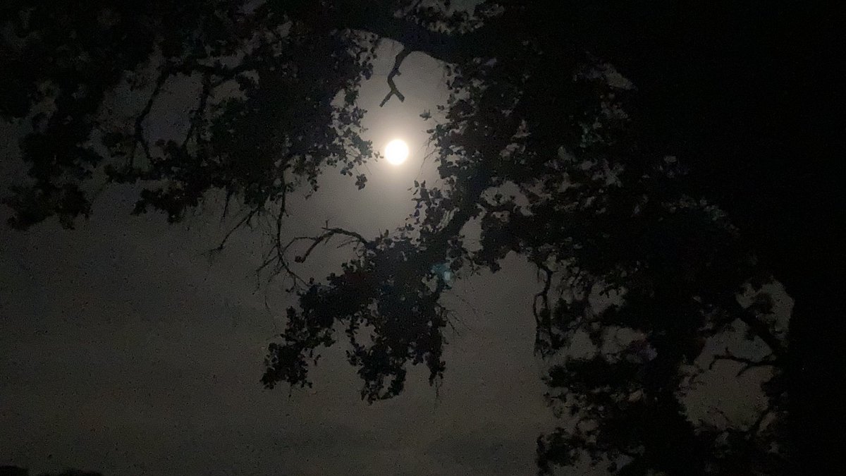 Cuando estás perdido o solo en la naturaleza, es importante mantener una actitud positiva y no perder la esperanza. La supervivencia es una combinación de habilidades y mentalidad.