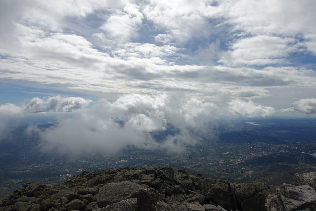 Viajarapie tweet media