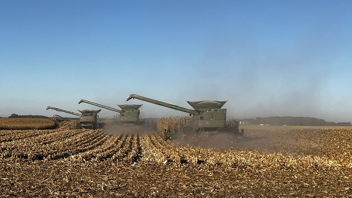 agriviaggi's tweet photo. On this morning the last acres of corn to be harvested at @SmithFamFarms - Rochester. What a great show! 🥰🌽🇺🇸
#JohnDeereX9 https://t.co/WbTp8YwG6H