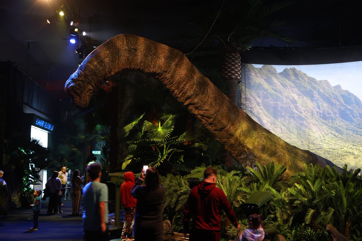 Evo_DS (@evo__ds) on Twitter photo 