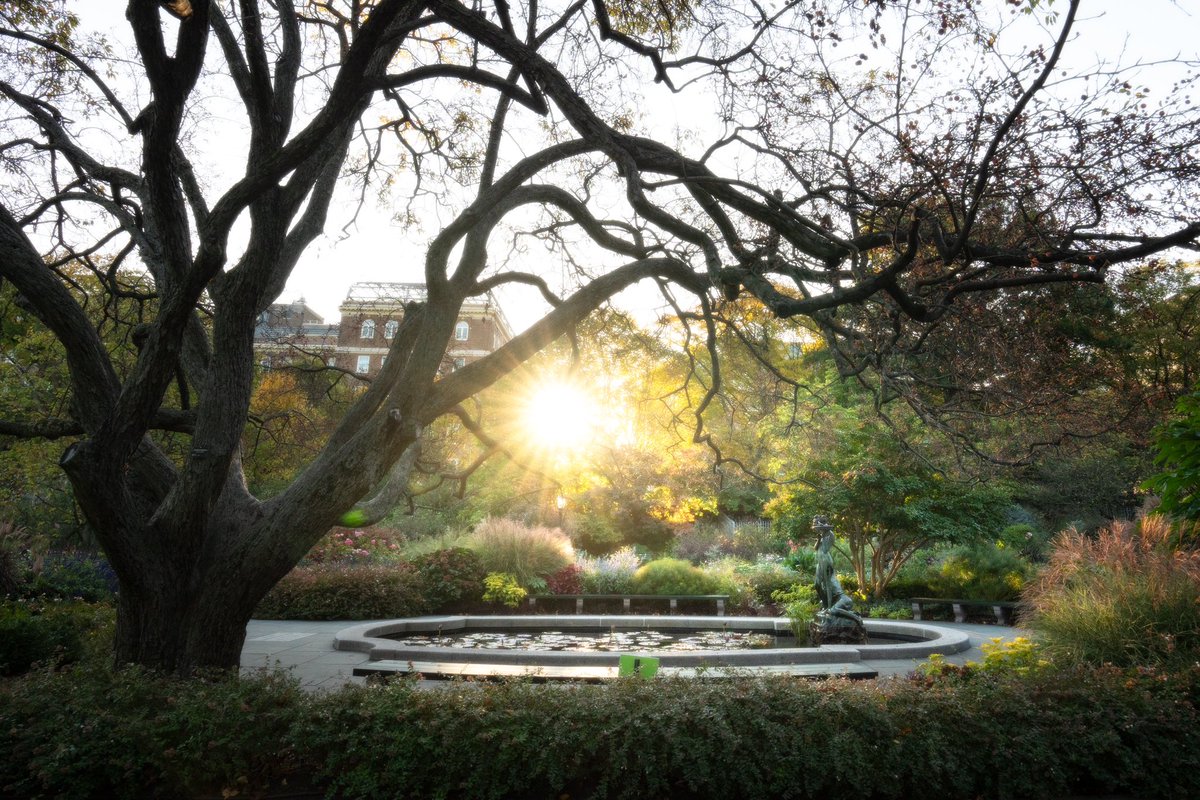 A beautiful Central Park morning!