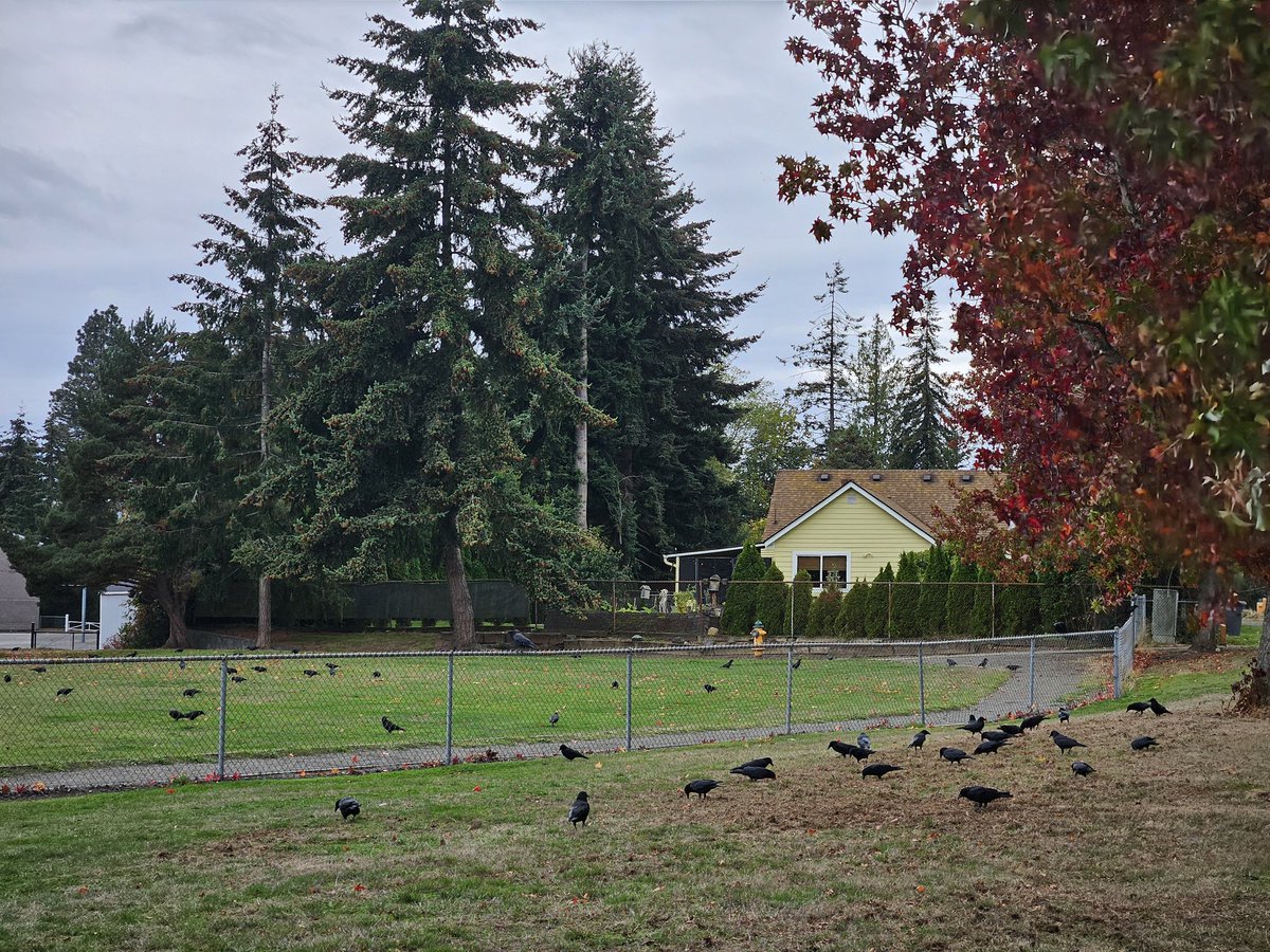 GuyFromTomorrow's tweet image. I've just witnessed a murder