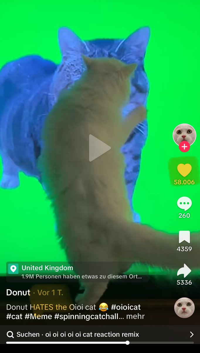 Crypton_on_x's tweet photo. The first viral cats are taking part in the trend.
TikTok is full of them and it's really funny.
Patience. Higher. โ๏ธ
#OIIAOIIA #DonutCat https://t.co/8ajPxlHDis
