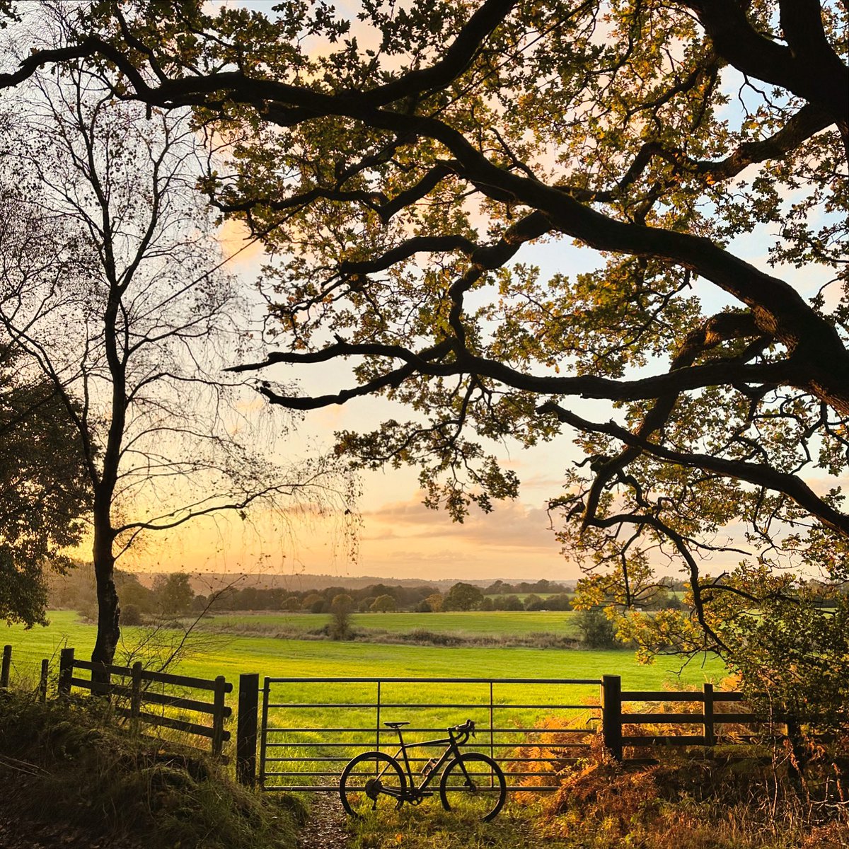Paul Barratt (@drpaulbarratt) on Twitter photo Glorious evening to shakedown the new (to me) winter/gravel bike 🚴♂️ #staffordshiremoorlands <a href="/pearsoncycles/">Pearson Cycles</a> Glorious evening to shakedown the new (to me) winter/gravel bike 🚴♂️ #staffordshiremoorlands <a href="/pearsoncycles/">Pearson Cycles</a>