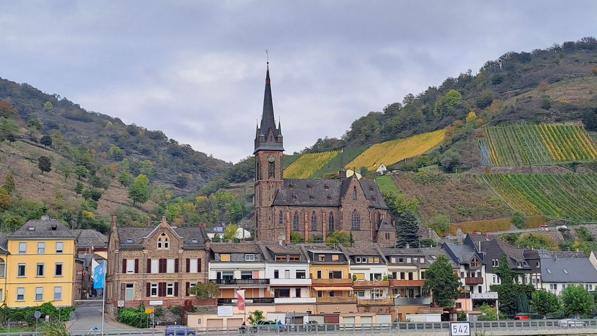 The Gutenberg workshop on the Evolution of Ageing in Ingelheim, Germany, was a fabulous meeting. Excellent talks, very stimulating discussions &amp; fun social programs. Many thanks to the organizers and all the participants  for such a great experience!