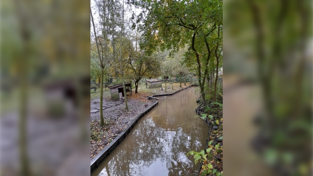 Herfstactiviteit op Weverkeshof -  denuenensekrant.nl/l/61079