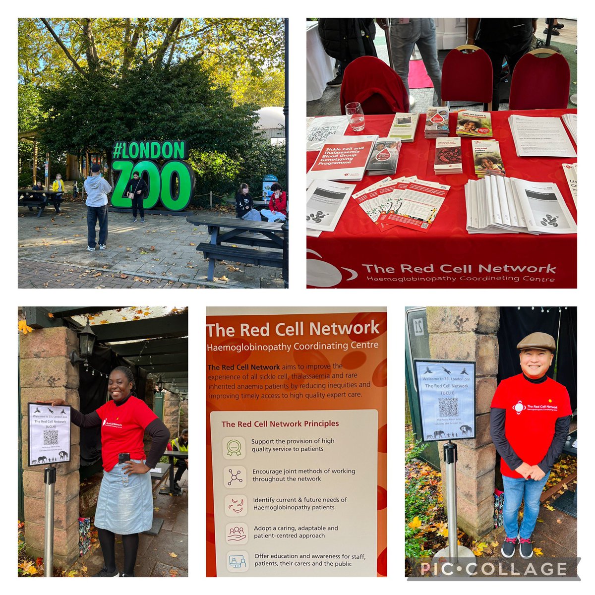 albin_588's tweet photo. Another successful event for our Red Cell Network
#Londonzooevent
#Sickle Cell and Thalassaemia https://t.co/KWWpZ9oSCw