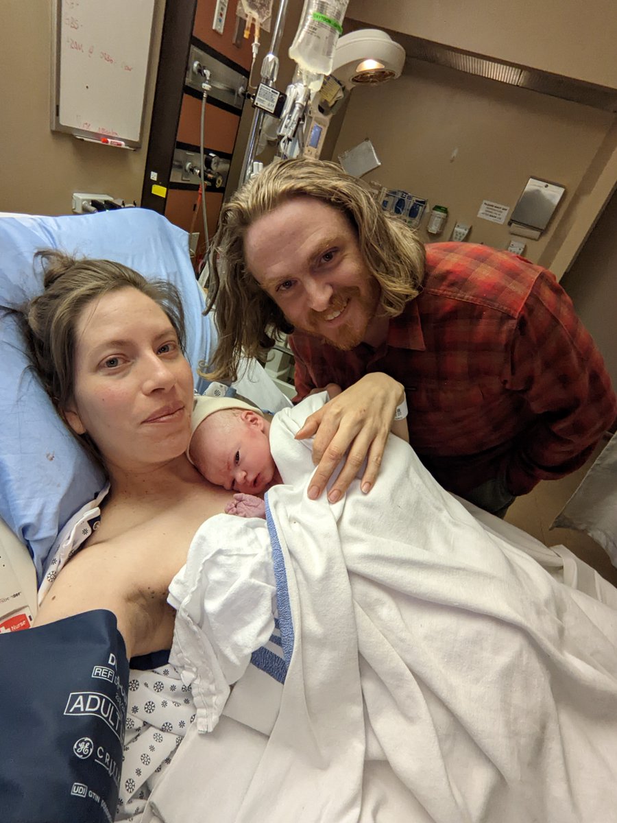 Samuel Jeffery tweet media