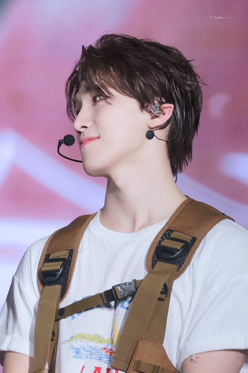 241013  요정귀❣️

#SEVENTEEN  #dino #디노 <a href="/pledis_17/">세븐틴(SEVENTEEN)</a>