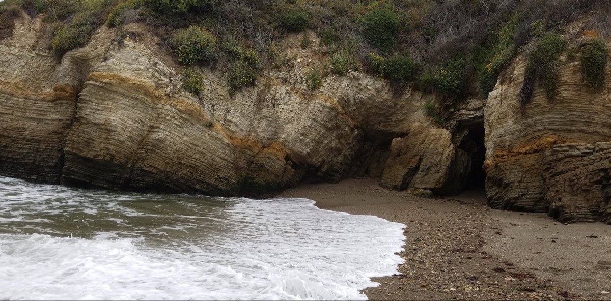 Caffeinated 💯 Caregiver🖤☕️🖤 tweet media