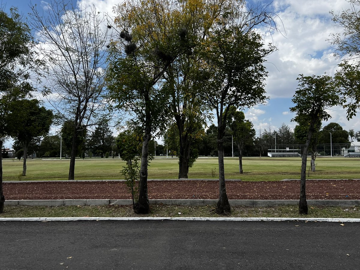 ParquesPuebla's tweet photo. ¡Este lugar es pura relajación! 💆🏻‍♀️ Medita, lee 📖 o descansa en el Parque Ecológico, donde la naturaleza te invita a reconectar en sus jardines o lagos. 

#ViveTuParque 🌳 https://t.co/r4PwiEOvl1