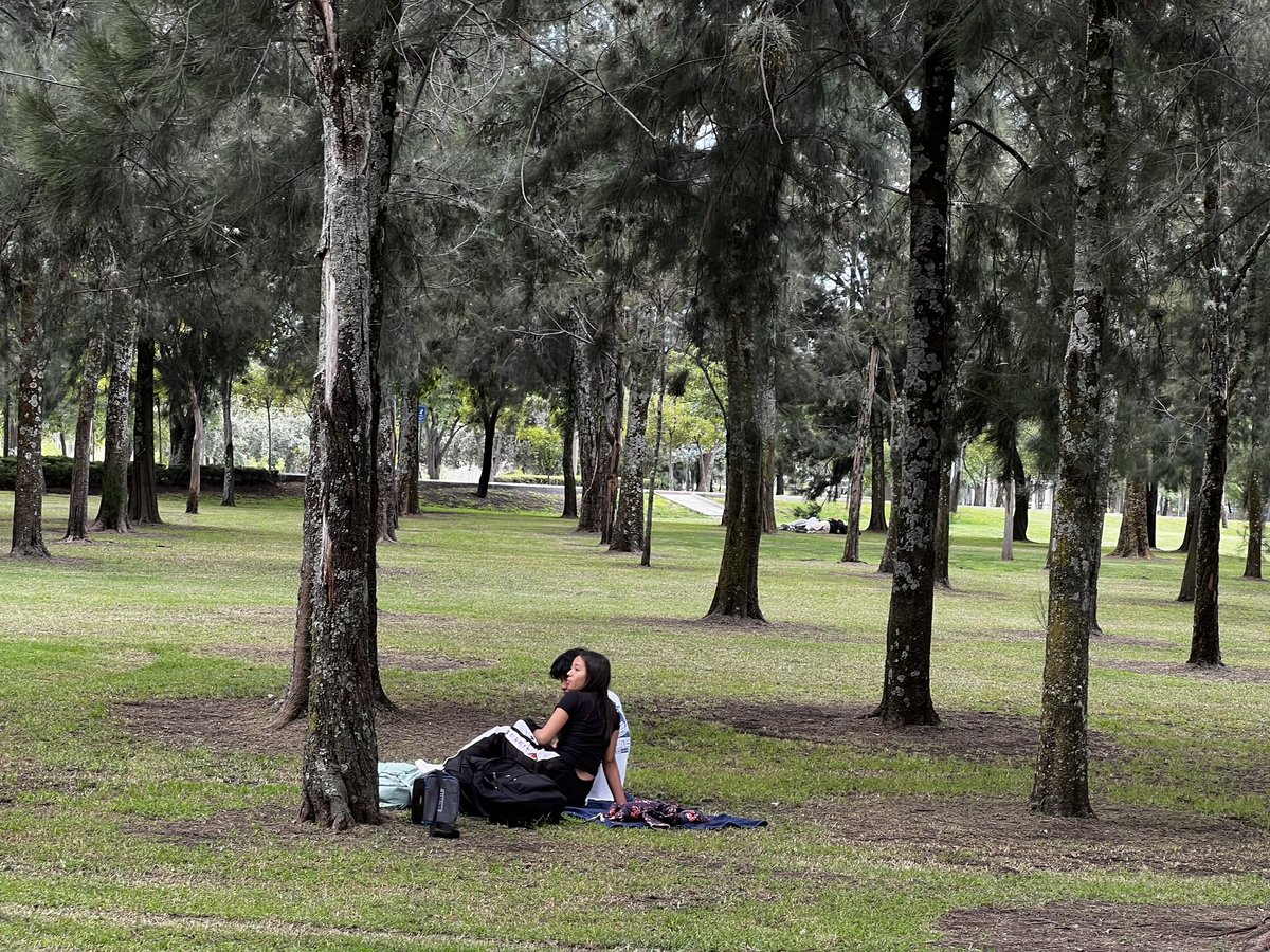 ParquesPuebla's tweet photo. ¡Este lugar es pura relajación! 💆🏻‍♀️ Medita, lee 📖 o descansa en el Parque Ecológico, donde la naturaleza te invita a reconectar en sus jardines o lagos. 

#ViveTuParque 🌳 https://t.co/r4PwiEOvl1