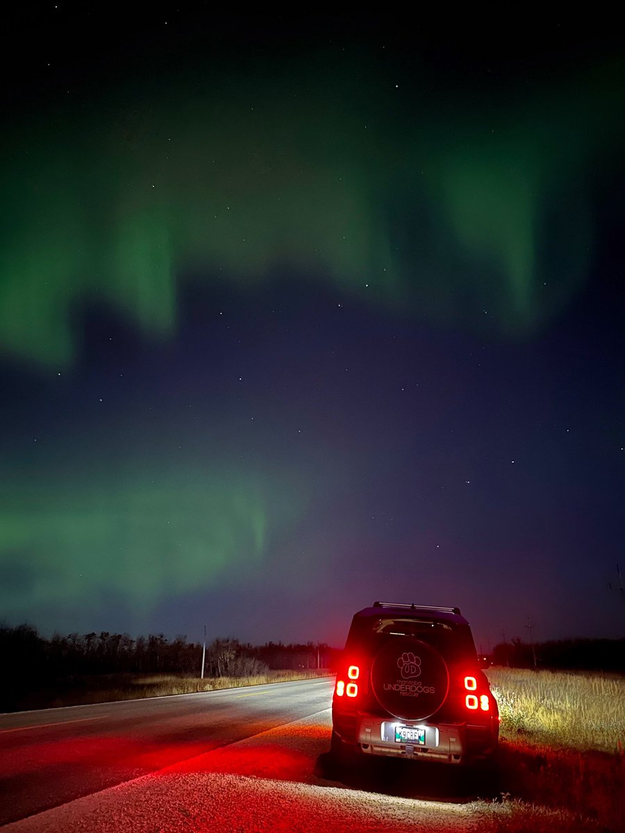 mbunderdogs's tweet photo. The northern lights were really dancing last night in the Manitoba skies ✨🌾

#northernlights #manitoba #exploremb https://t.co/HPTtngrcFJ