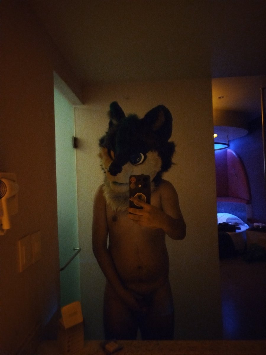 Zack Humphrey Wolf AD🔜 warning yiff tweet media