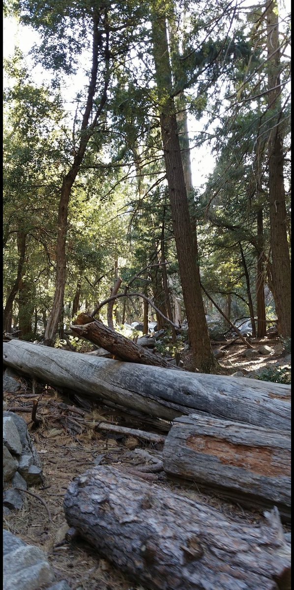 Caffeinated 💯 Caregiver🖤☕️🖤 tweet media