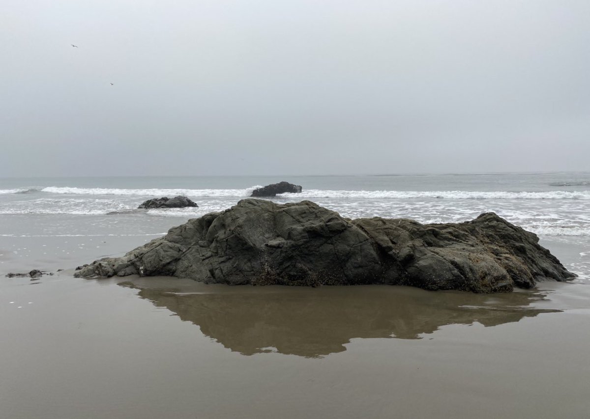 Caffeinated 💯 Caregiver🖤☕️🖤 tweet media