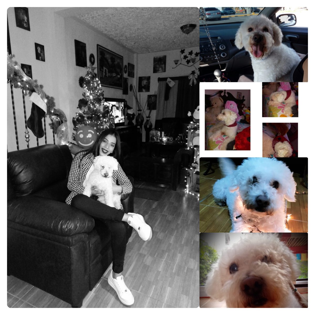 _Milenyyyy97's tweet photo. Vuelta alto mí pequeño bebé, gracias por haberme salvado la vida, te amo para siempre.🐶🥺🖤 https://t.co/KSWDYIqIP6