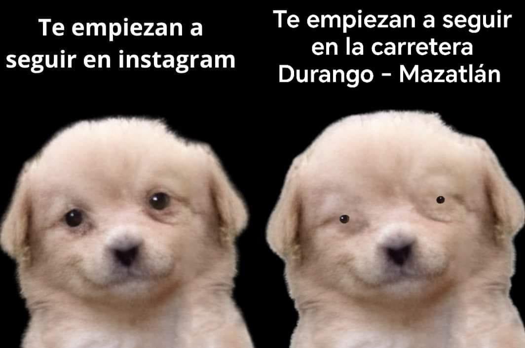 Sallvatoree's tweet photo. #ElMemazo | La verdad si da miedo. https://t.co/BjQbMDo9qV