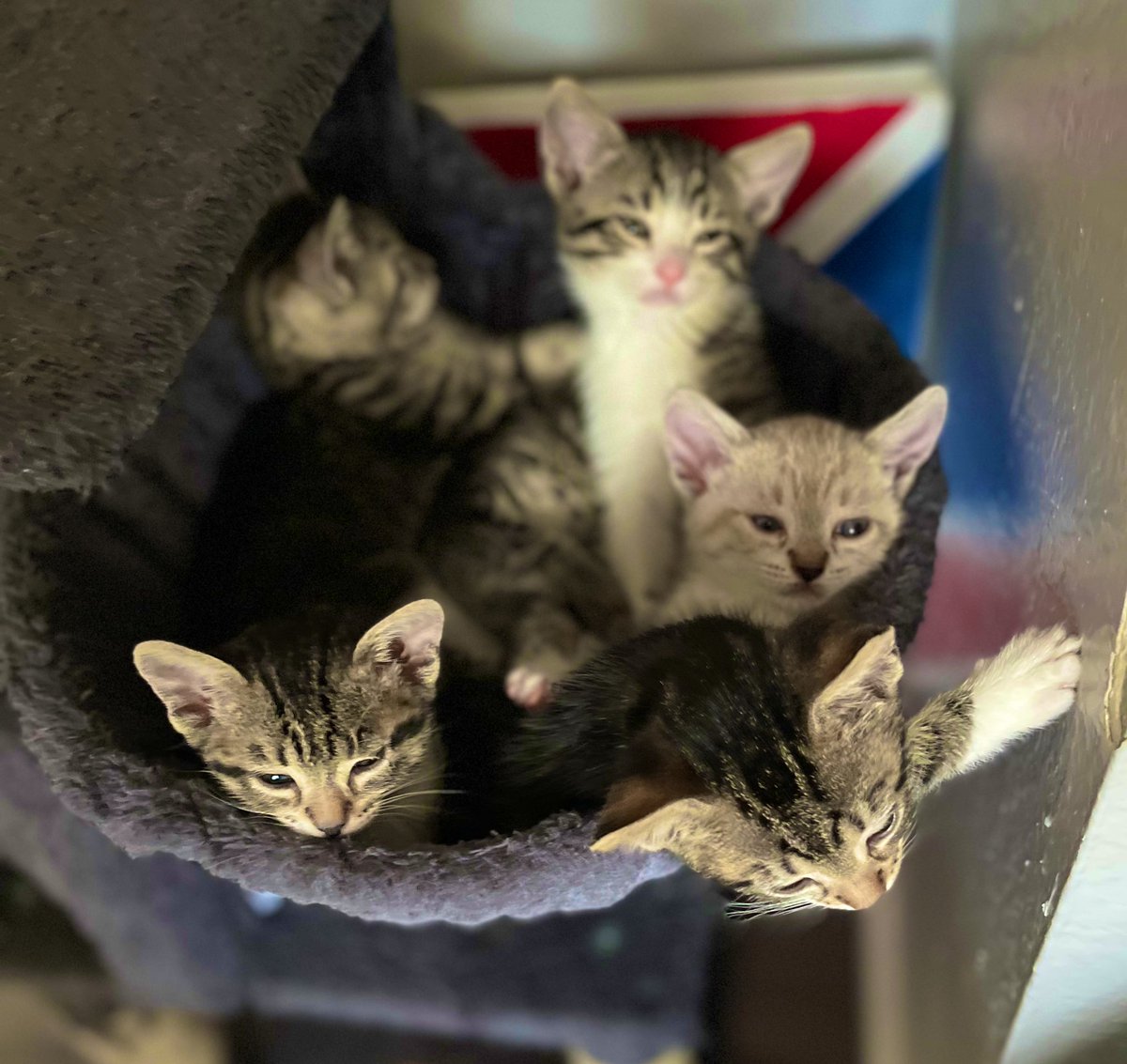 Caffeinated 💯 Caregiver🖤☕️🖤 tweet media