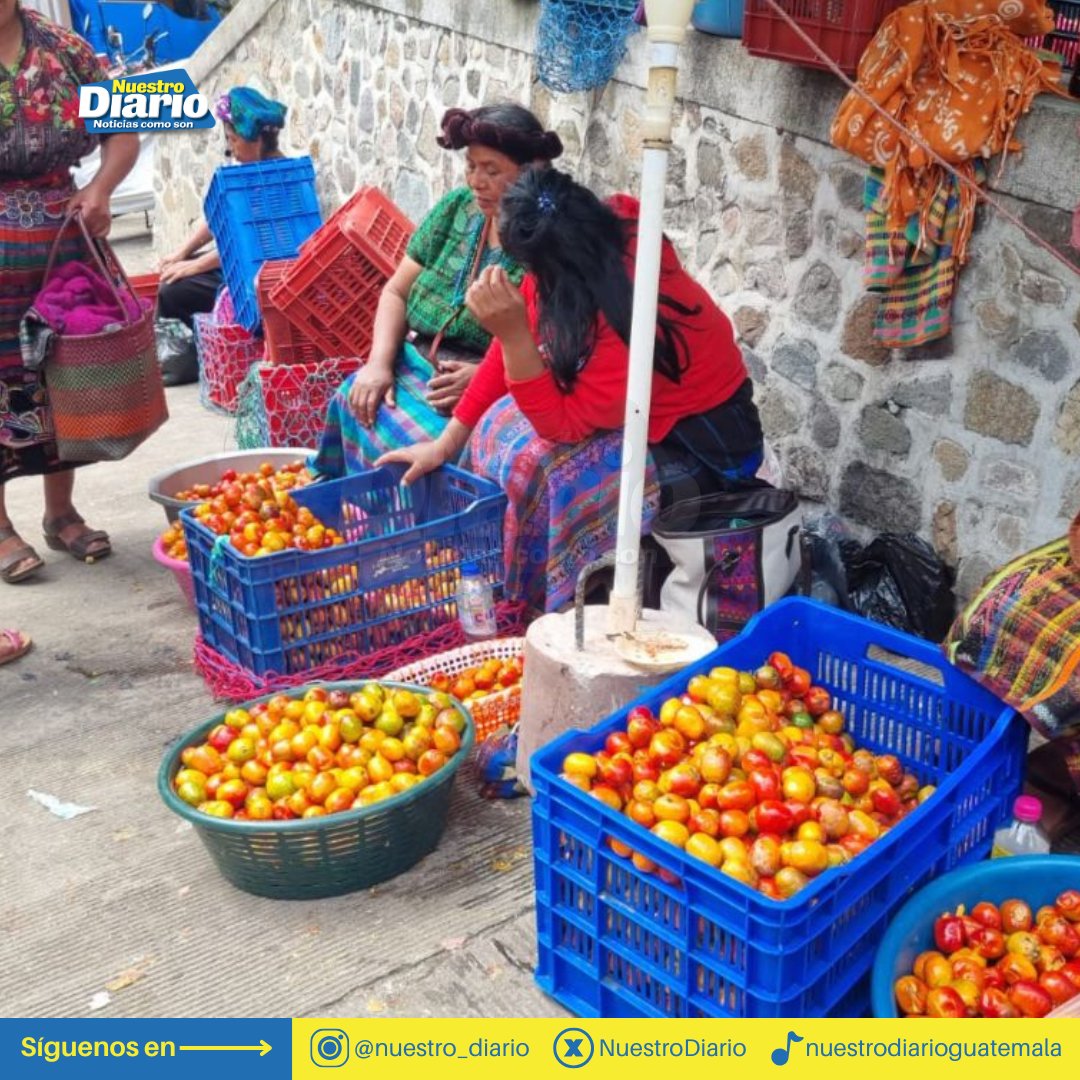 NuestroDiario's tweet photo. —Y, ¿cómo te hago feliz?
—Trae jocotes. 🥰
Este fruto se produce a la orilla del lago más bello del mundo, principalmente en Santiago Atitlán, San Marcos y Santa Cruz La Laguna, #Sololá 🇬🇹.
#ComunidadND #Productores #Jocotes #Antojo #Atitlán #NuestroDiario. 🗞️📱
📷: Alfonso Guárquez.