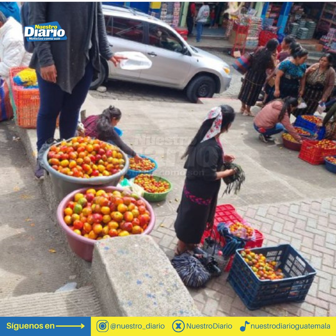 NuestroDiario's tweet photo. —Y, ¿cómo te hago feliz?
—Trae jocotes. 🥰
Este fruto se produce a la orilla del lago más bello del mundo, principalmente en Santiago Atitlán, San Marcos y Santa Cruz La Laguna, #Sololá 🇬🇹.
#ComunidadND #Productores #Jocotes #Antojo #Atitlán #NuestroDiario. 🗞️📱
📷: Alfonso Guárquez.