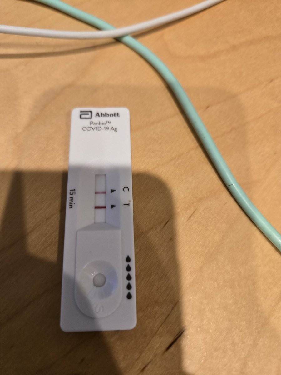 Blaine didn't want me to vote, so he infected me with this. (That's how this conspiracy stuff works, right? Kicking myself for not going to advance polls like I planned.)