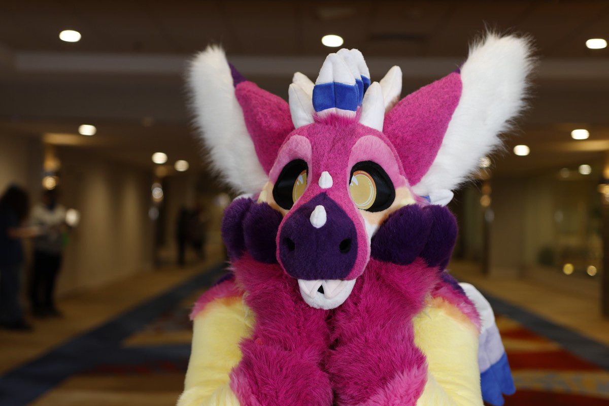 SundayTheDutche's tweet photo. Had an amazing time at #BLFC2024 and so did Sunday! Made it home safe and now keeping an eye out for pictures of Sunday, tag me if you see them!
#sundaythedutchie #sundaythedad #skyprocostumes #skypro #fursuit #BLFC
Picture by pey-yote https://t.co/trhcOX7USW