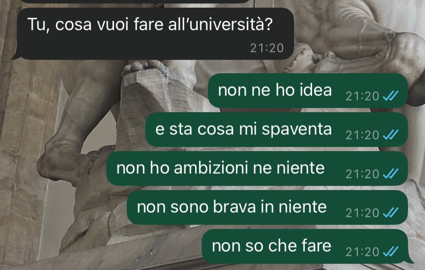 sara 🪼 tweet media