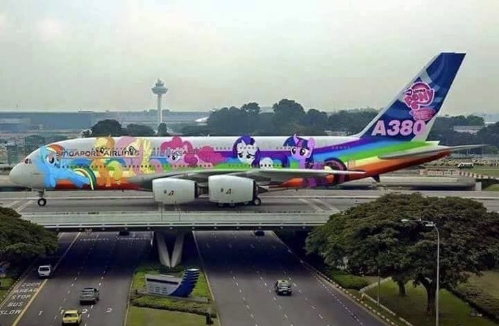 sinjinpool's tweet image. the plane leli is boarding rn