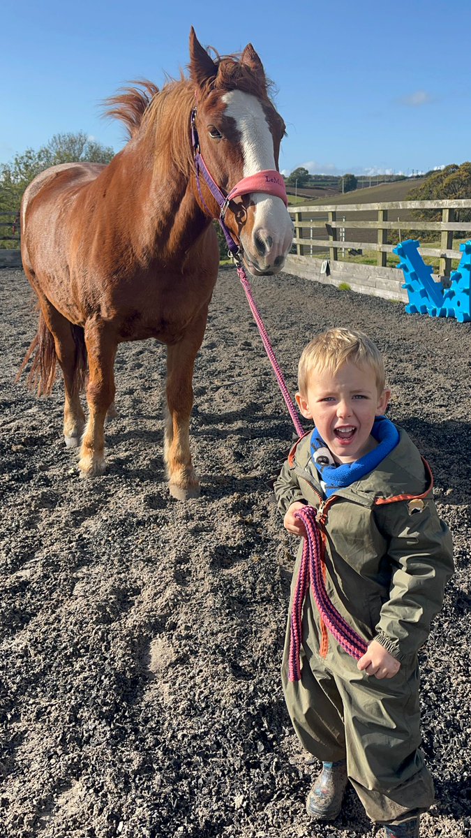SarahLinley9's tweet photo. Trooper our big gentle lad 😍 https://t.co/d9hS5Vo57l