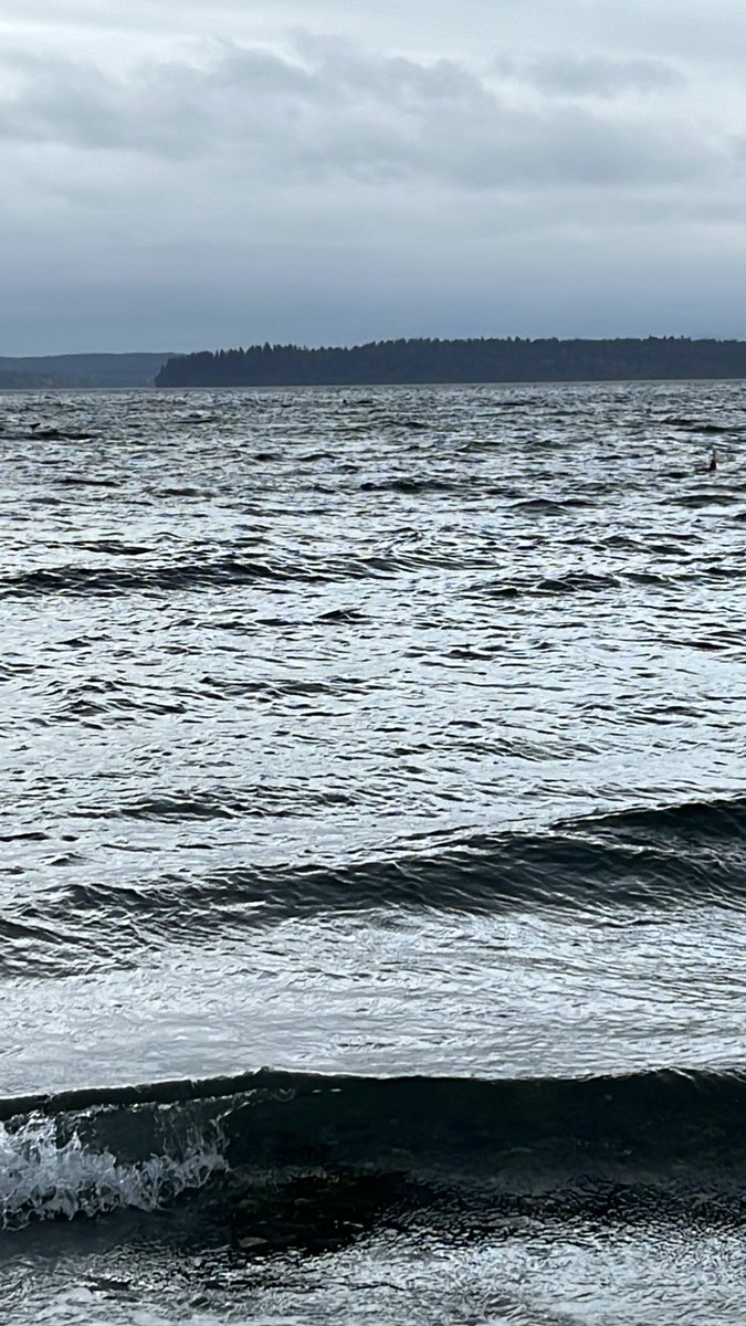 Zilch Mandible tweet media