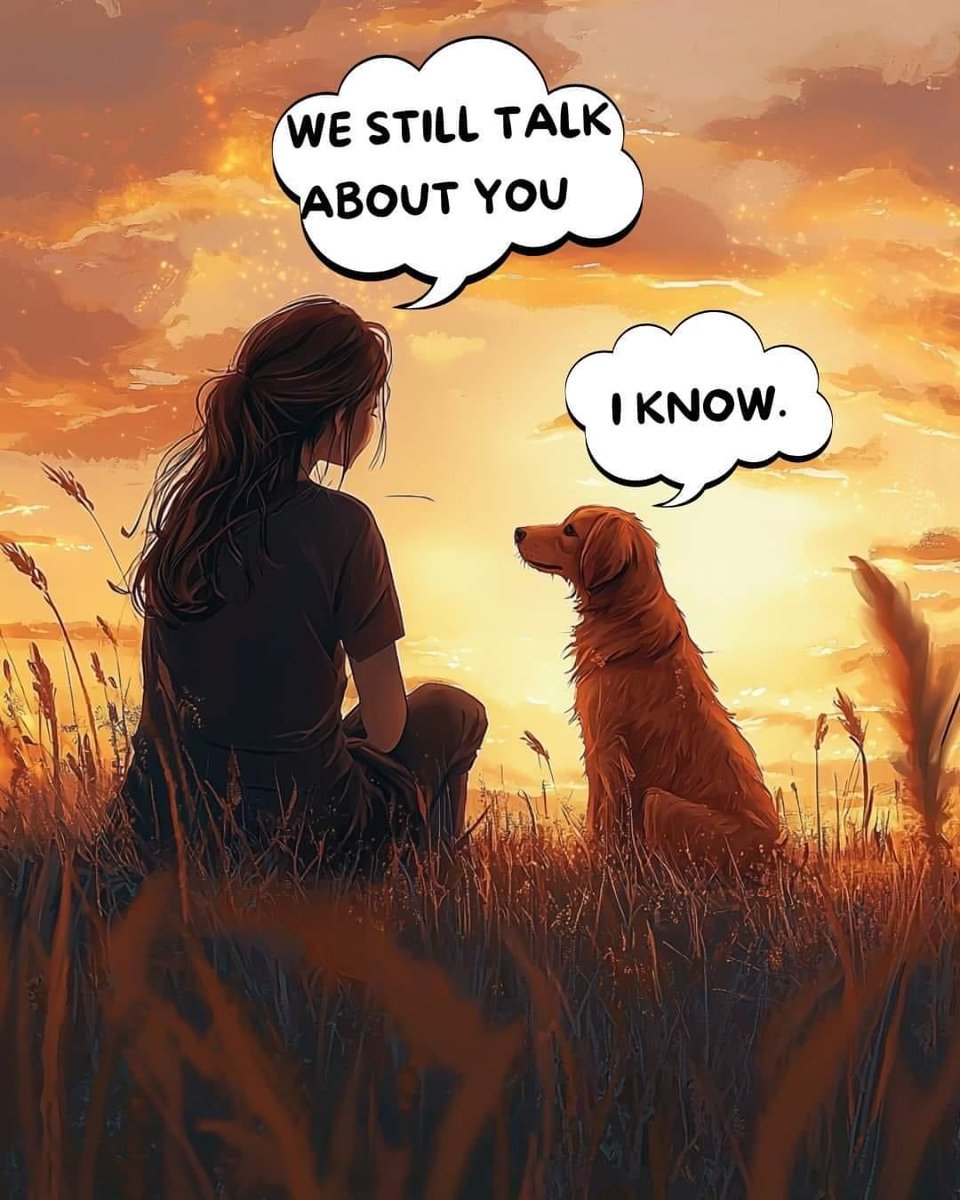 Clara Barton🇬🇧🇮🇱 🇺🇸 FSU tweet media