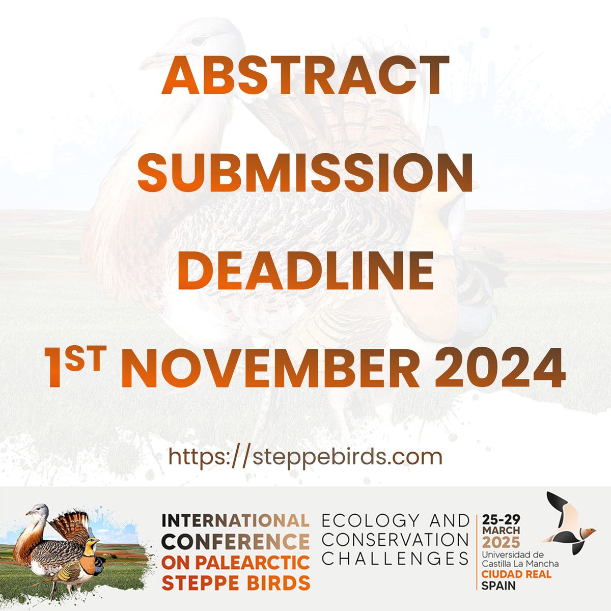 📢 Calling all researchers!! Submit your work on Palearctic Steppe Birds for #SteppeBirds2025.

Share your findings with a broader audience! 

Abstract deadline is November 1st 2024! 🌾

More information in ➡️ steppebirds.com 

#ornithology #wildlifeconservation #science