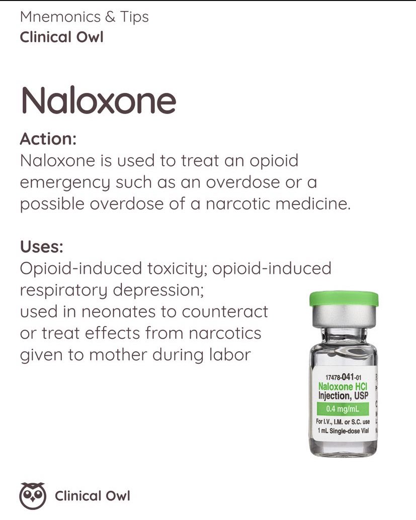 Ph_LamaAlghamdi's tweet photo. 💢Remember the Emergency Drugs

LEAN 🧠
L: Lidocaine HCL
E: Epinephrine
A: Atropine Sulfate
N: Naloxone https://t.co/BoCmxc4Y7i