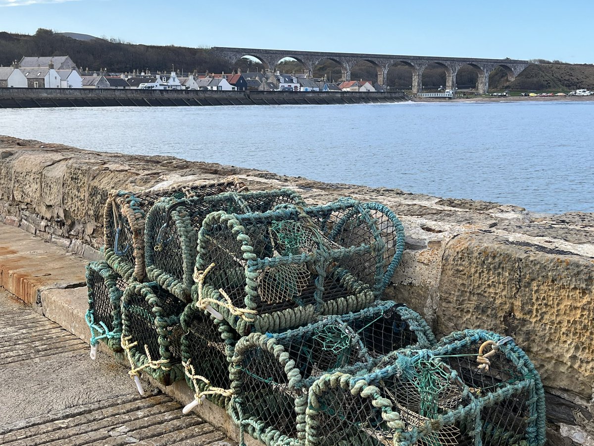 JamesBDonaldson's tweet photo. Another wonderful weekend on the Moray coast - and a great meal yet again at the Seafield Arms, Whitehills #Cullen #Sandend #Whitehills #Moray #Aberdeenshire @Caroldonal1 https://t.co/v88GnVhiCW