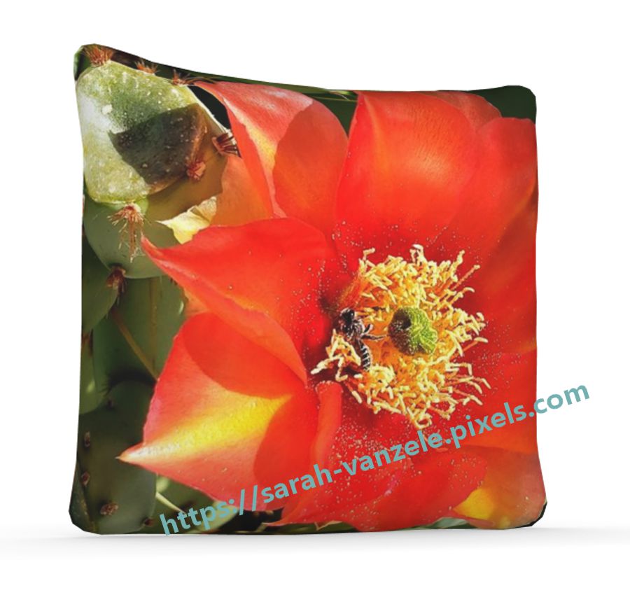 One of the Sarahs tweet media