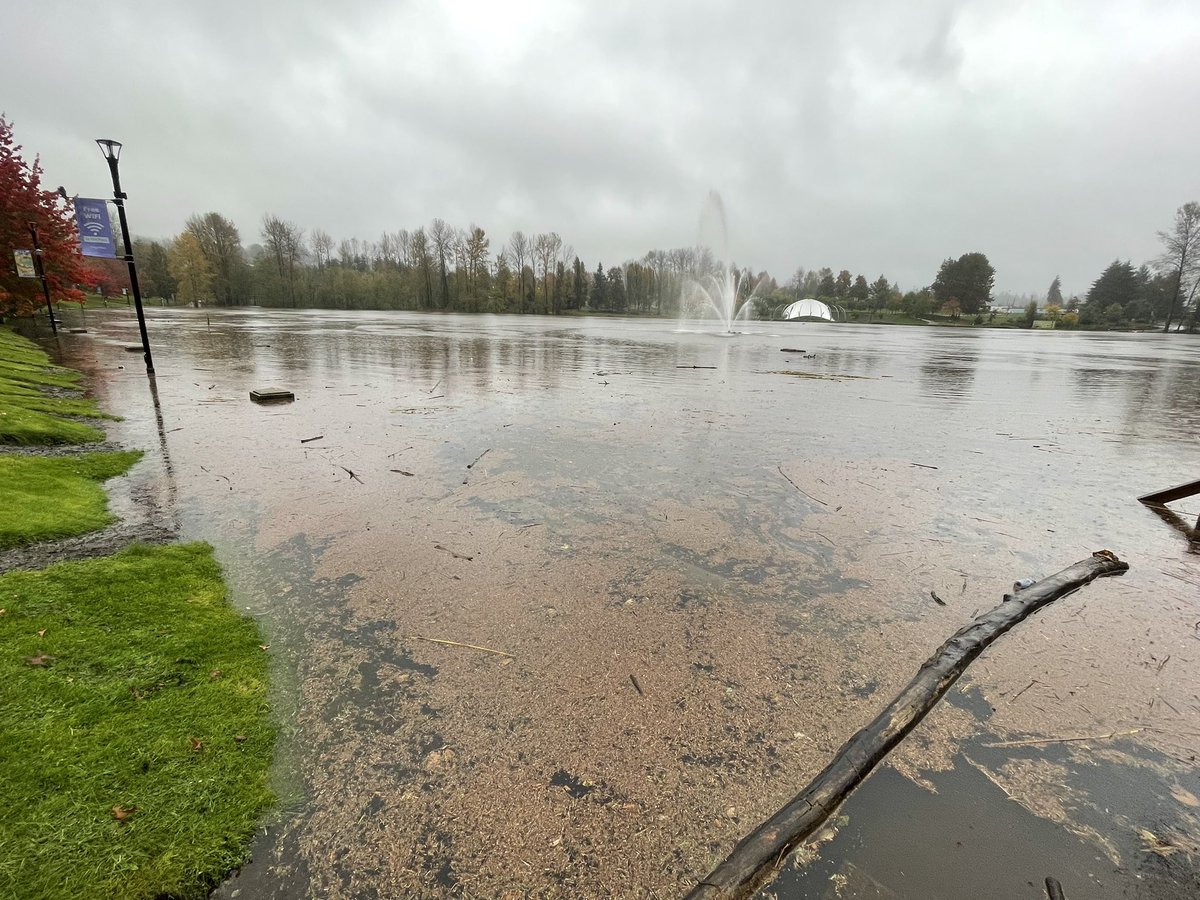 vancejennifer's tweet photo. #coquitlam #portcoquitlam #lafarge #bc #flood @GlobalBC @CTVVancouver  @CTVNews @CityofPoCo @cityofcoquitlam @CityofPoMo @BradWestPoCo @cbcnewsbc @CKNW @TriCityNews @NewsRadioVAN @CTVVancouverBRK https://t.co/AgkemU7x7g