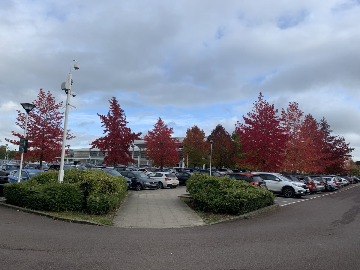 Mike Redmanš (@ratcatchermike) on Twitter photo With appropriate forward thinking, sensitive design and aftercare, the environmental impact of car parks can at least be mitigated to some extent. Well done to ā¦<a href="/waitrose/">Waitrose & Partners</a>ā© Cheltenham With appropriate forward thinking, sensitive design and aftercare, the environmental impact of car parks can at least be mitigated to some extent. Well done to ā¦<a href="/waitrose/">Waitrose & Partners</a>ā© Cheltenham