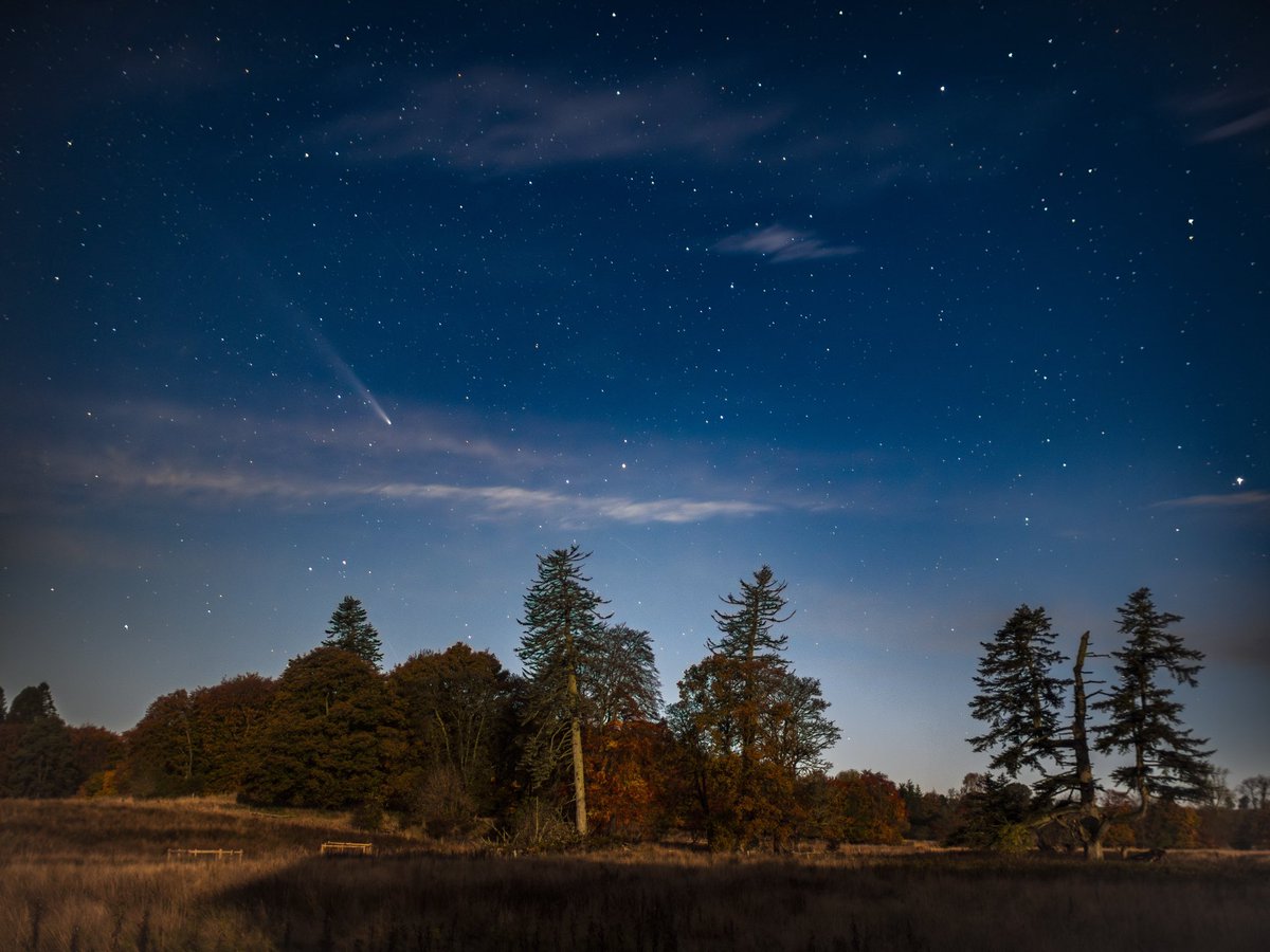 Comet C/2023 A3 (Tsuchinshan-ATLAS)
meets Bamff Wildland.