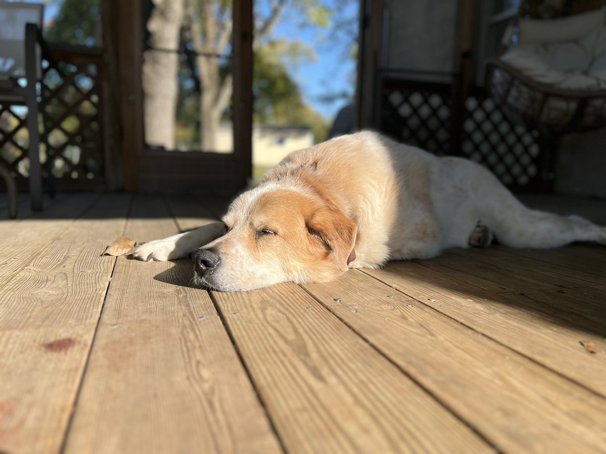 Always managing to find the sun ☀️