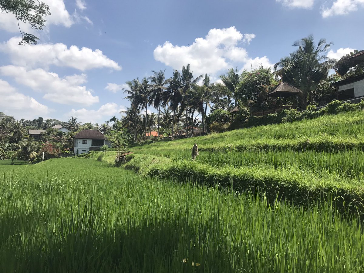 Ubud Bali