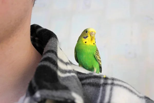 teritied tweet picture